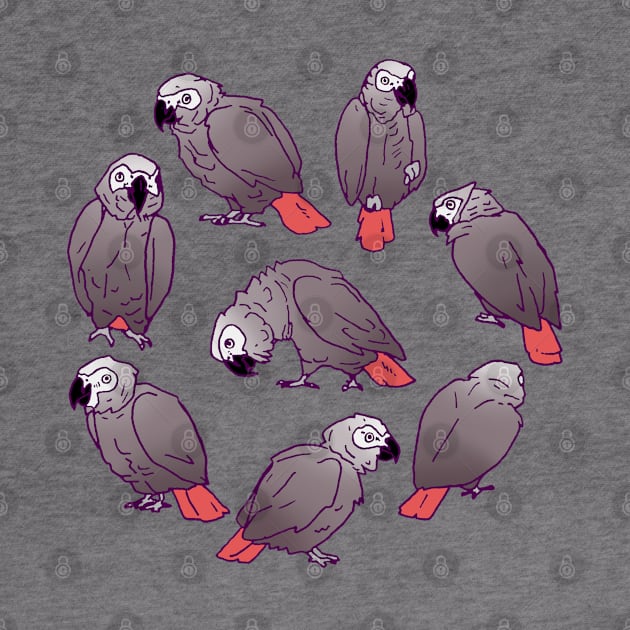 African Grey Parrot Flock by Einstein Parrot